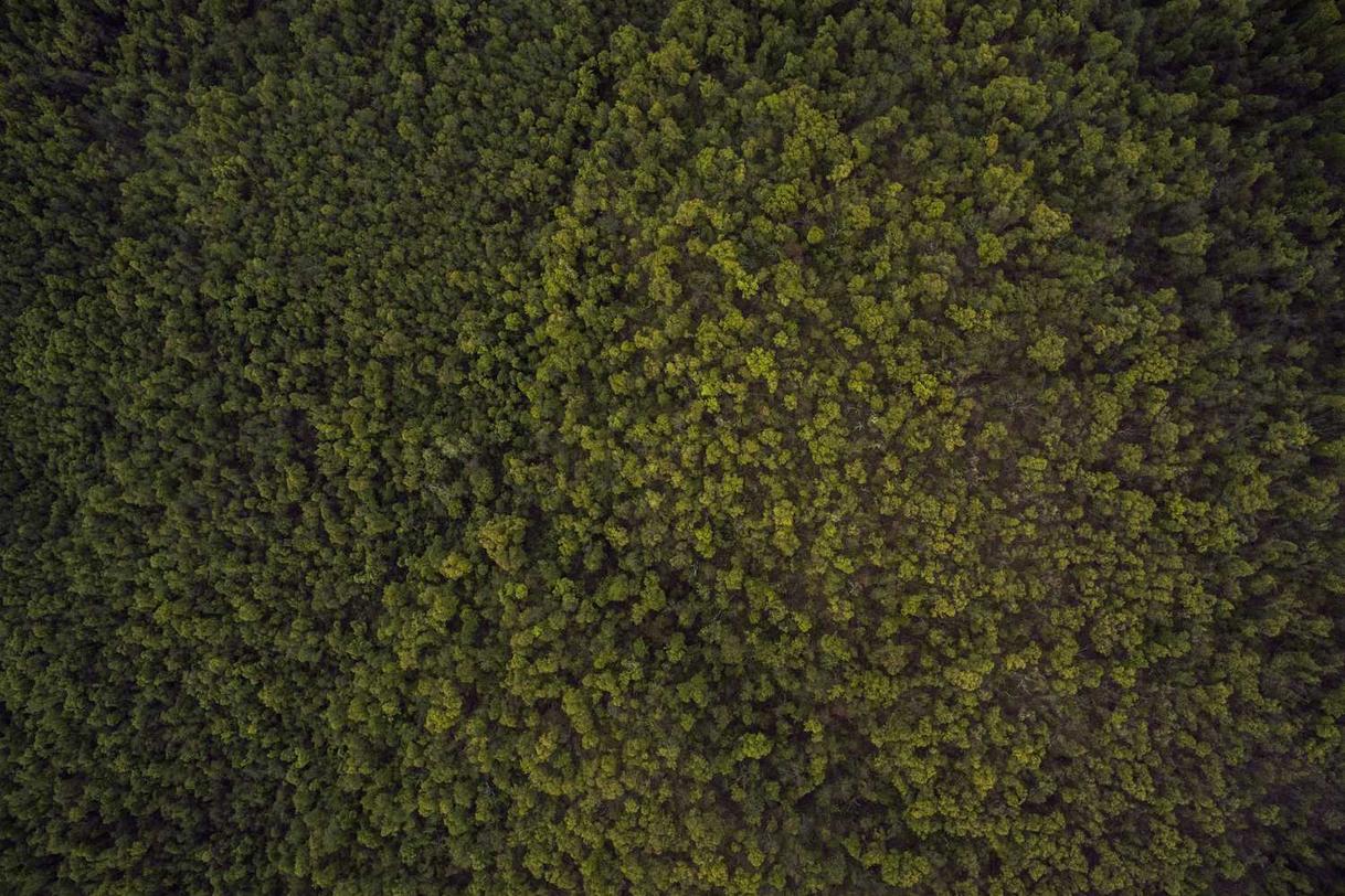 Excepturi accusantium animi nihil quis