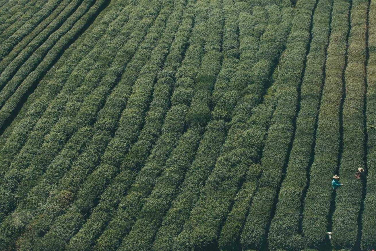 Cumque natus voluptas libero beatae ex consequatur consequuntur ipsa illum